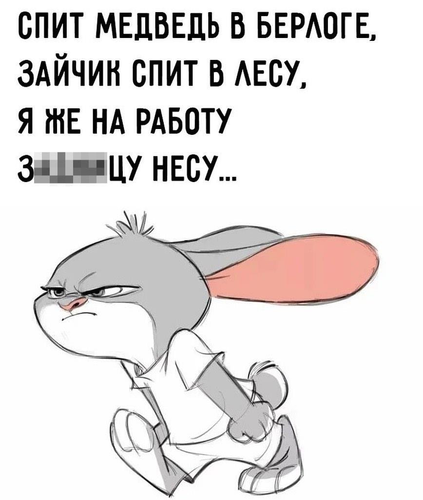 Кот понедельник