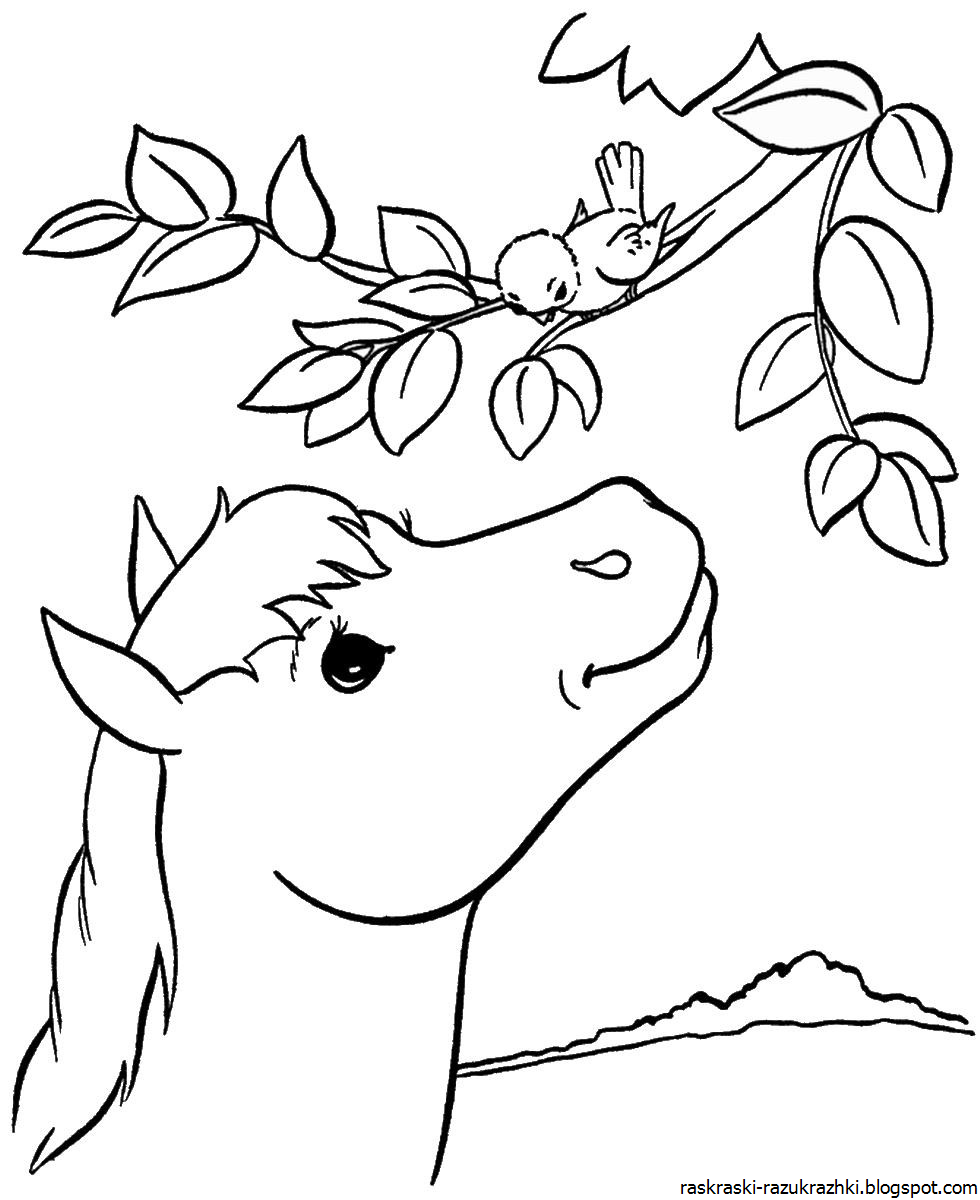 Антистресс животные