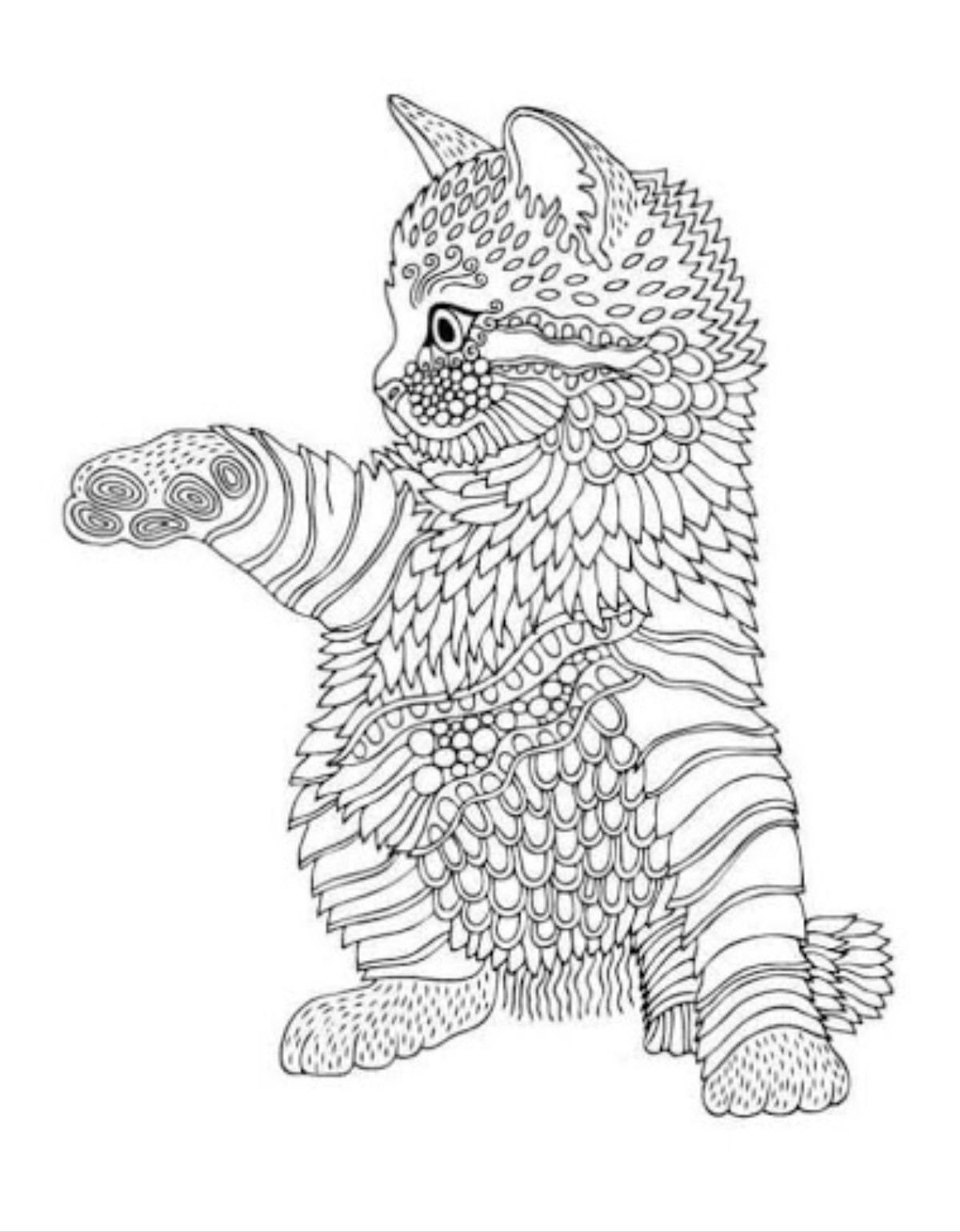 Раскраски. Животные