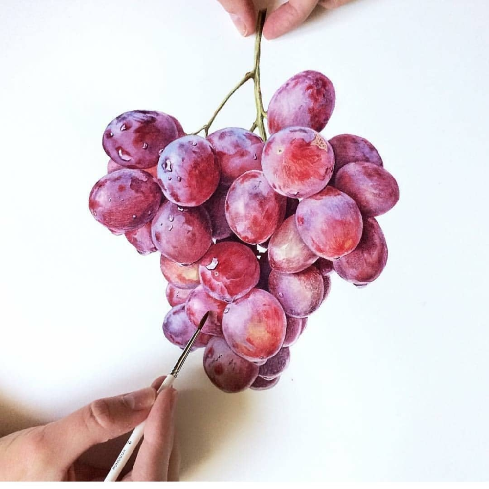 Виноград акварелью