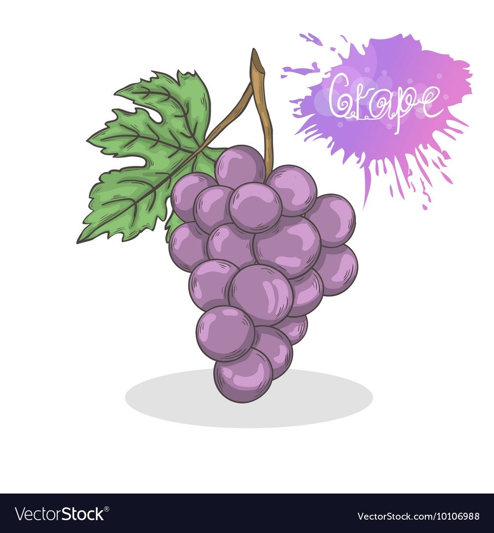 Кисти винограда формы