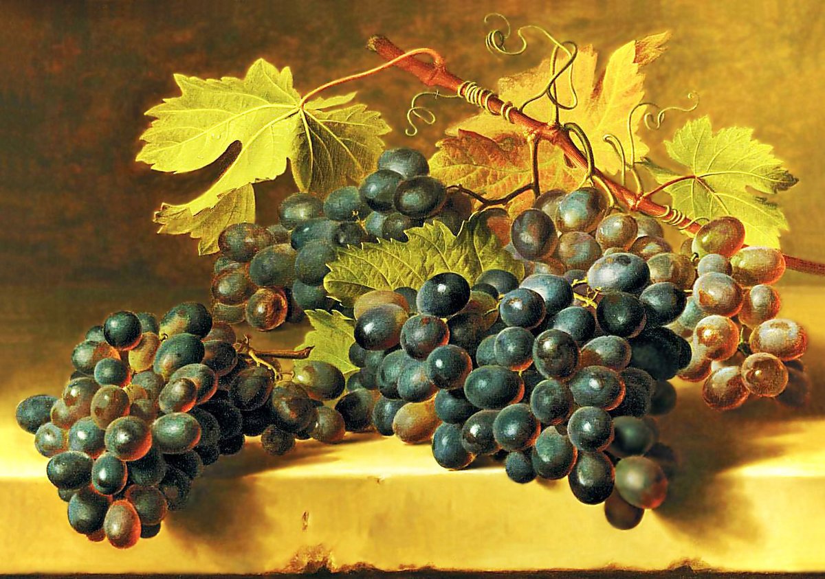 Виноград зеленый и красный