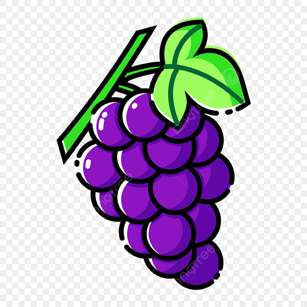 Графическое изображение виноградной лозы