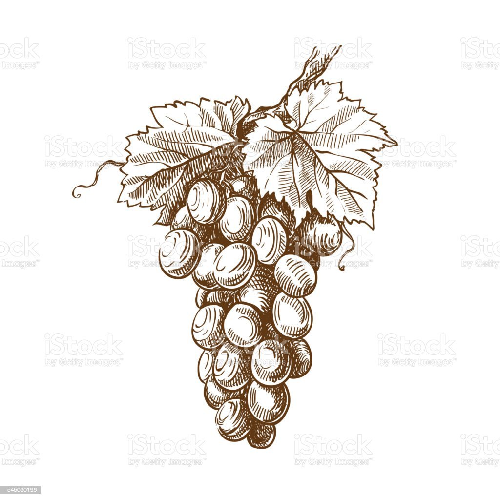 Художник Irina Volodarskaya