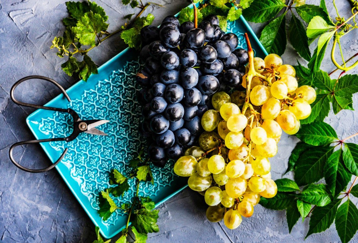 Фоторамка виноград