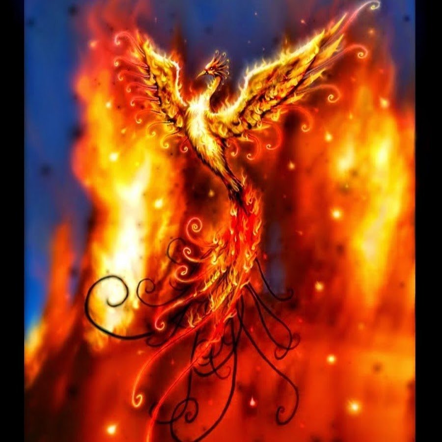 Феникс Анка