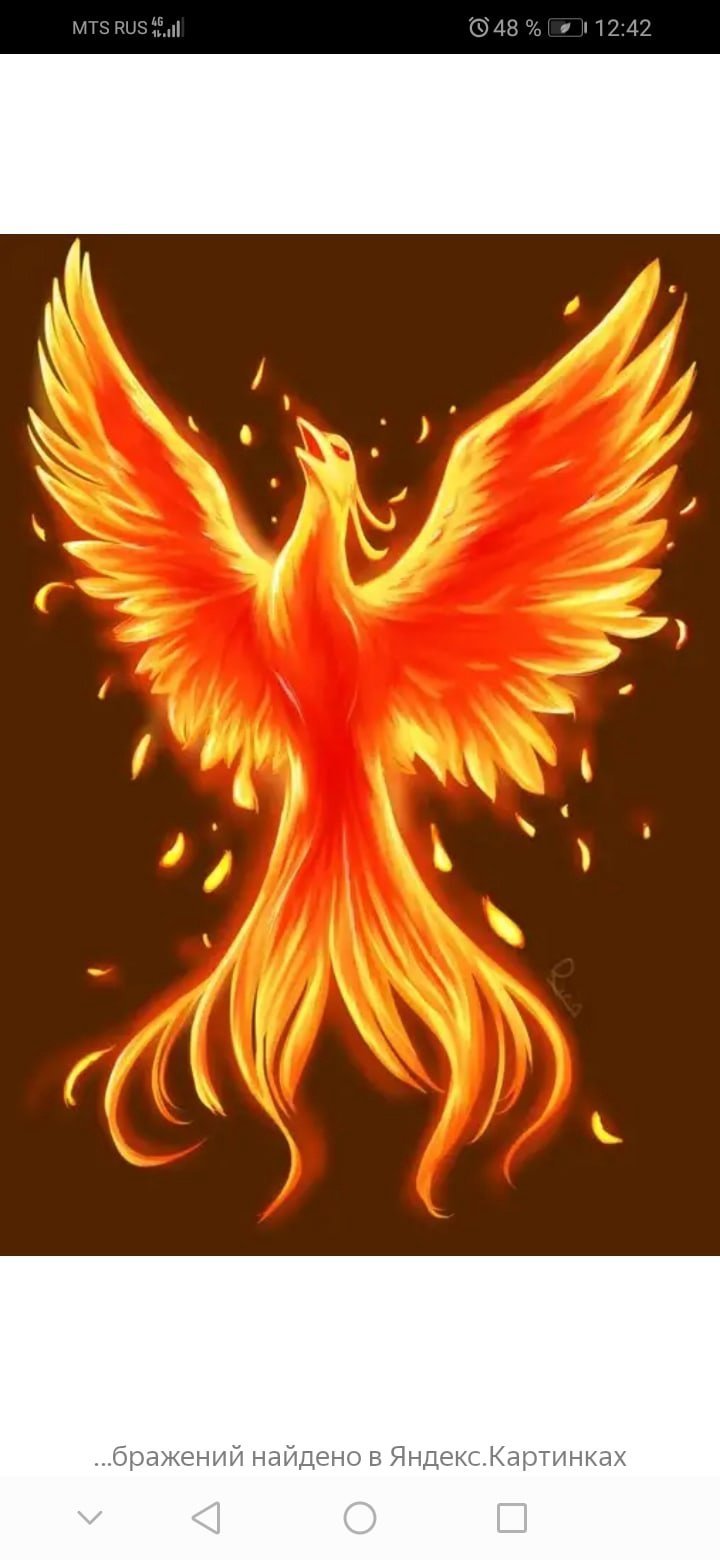 Феникс женщина птица возрождается из пепла