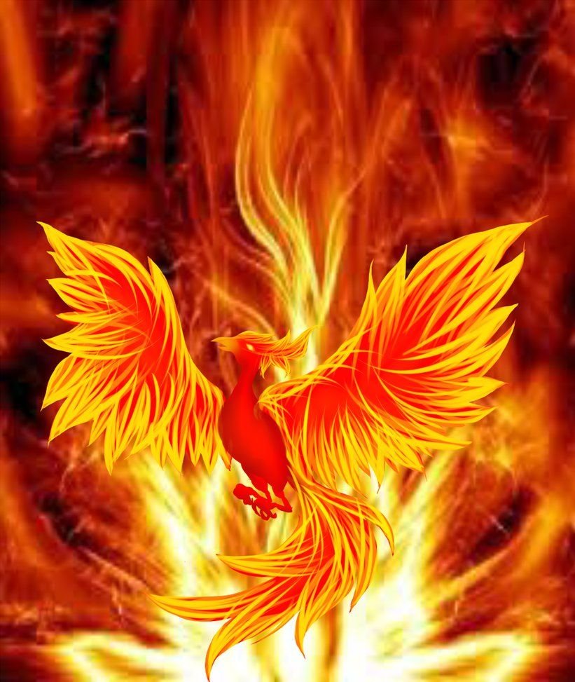 Сокол Феникс Рарог