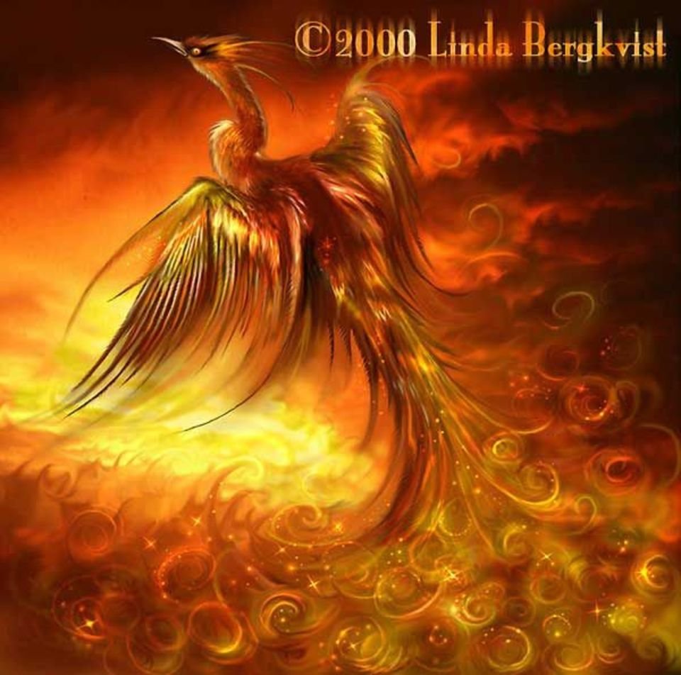 Анна Феникс