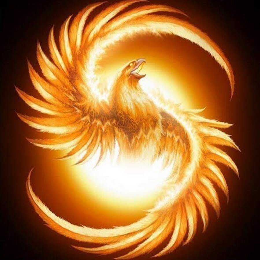 Рарог Сокол Феникс Финист