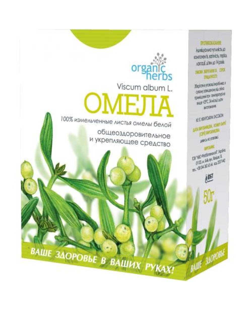 Омела растение