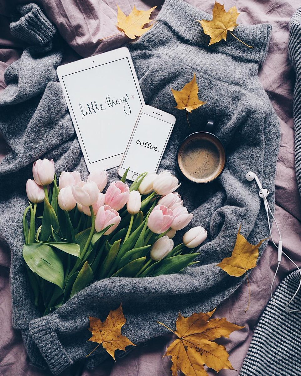 Снимки для инстаграмма