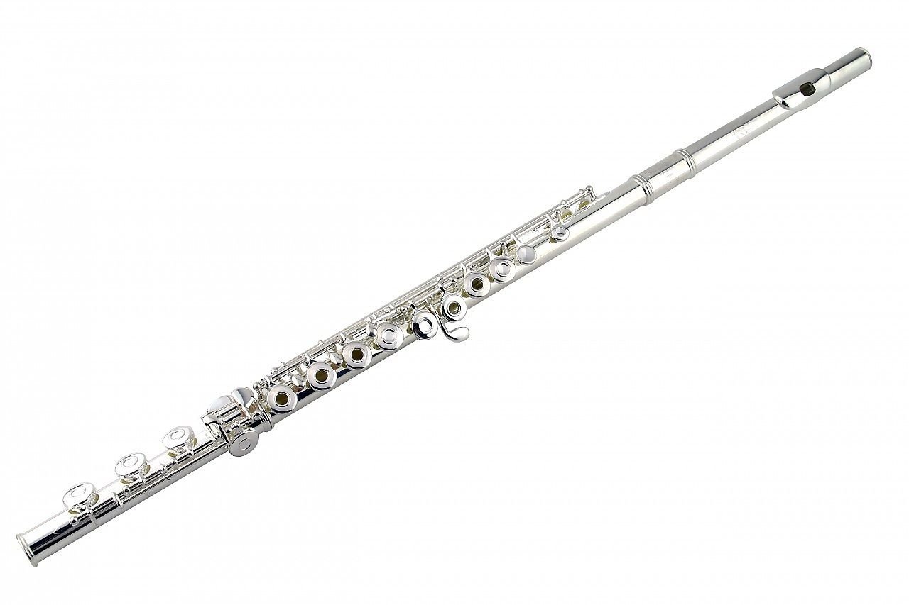 Сборник флейты. Флейта Пикколо Триумф. Флейта музыкальный инструмент симфонического оркестра. Поперечная флейта. Флейта в симфоническом оркестре.