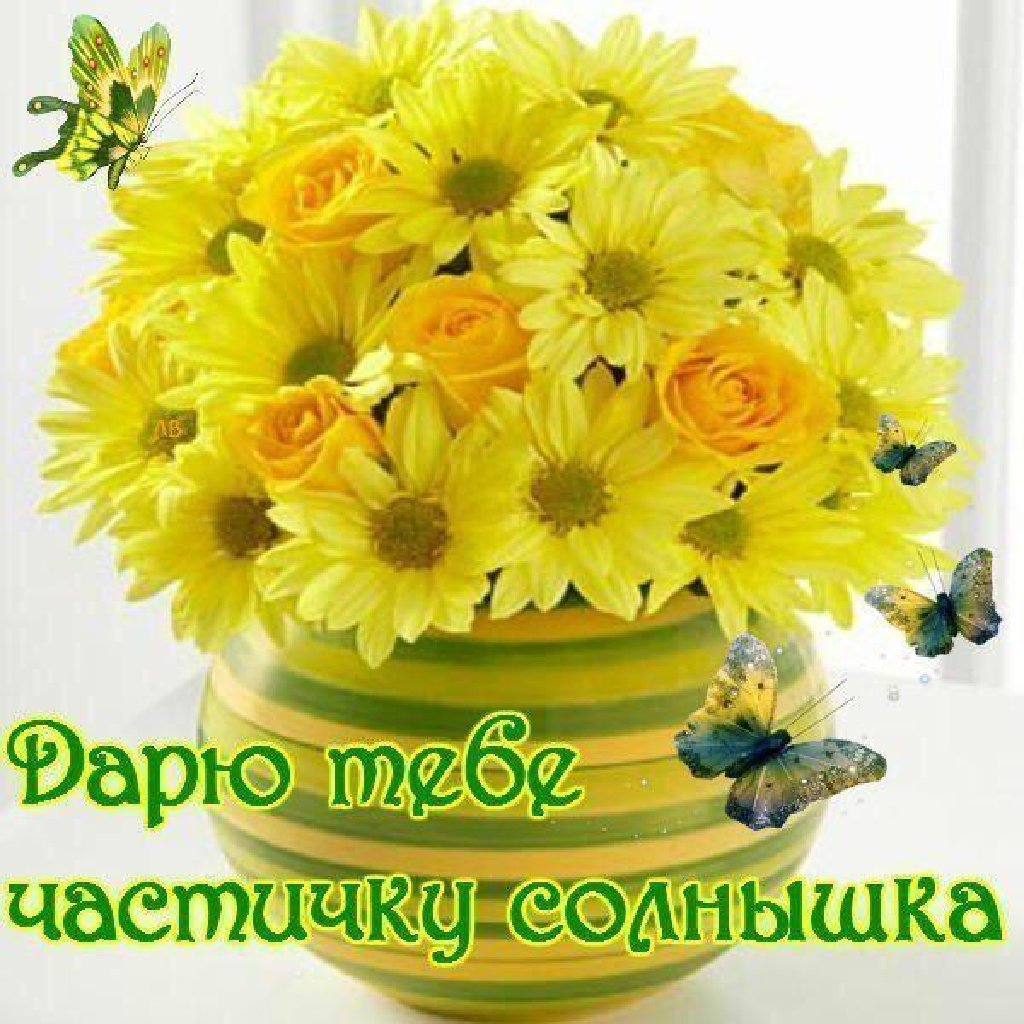 Позитивные пожелания на день