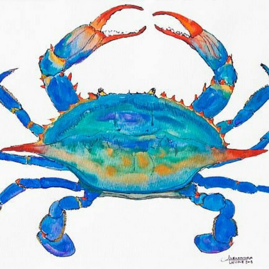 Краб рисунок для детей