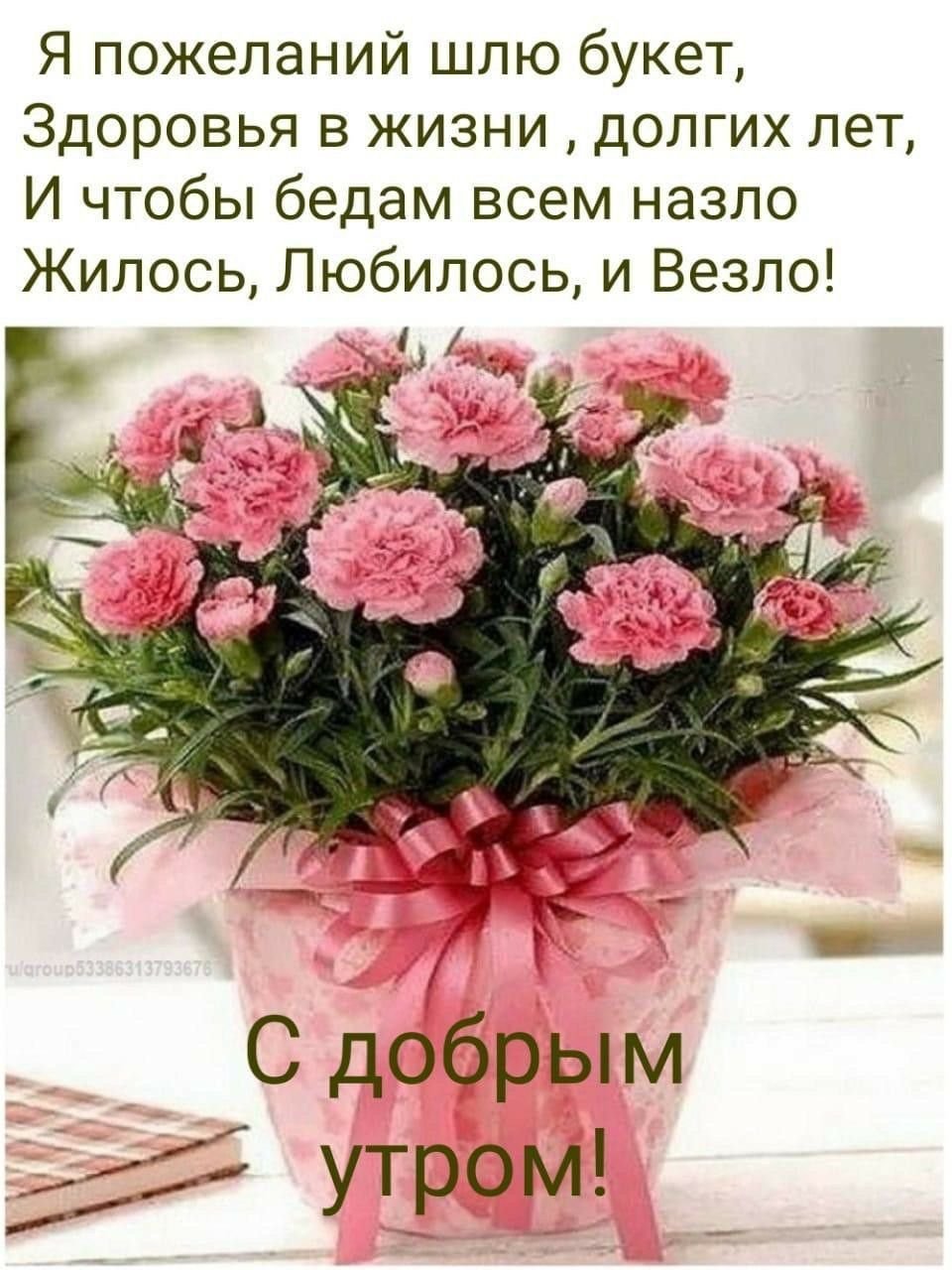 Пожелания здоровья