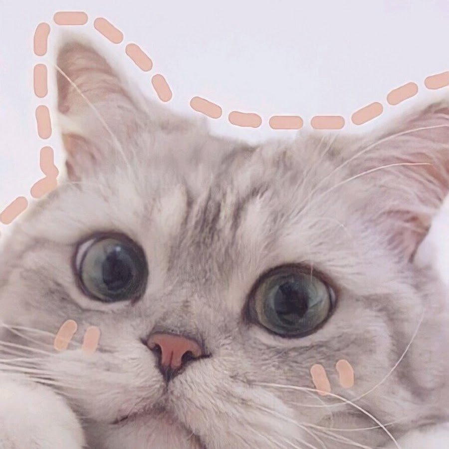 Котики с сердечками