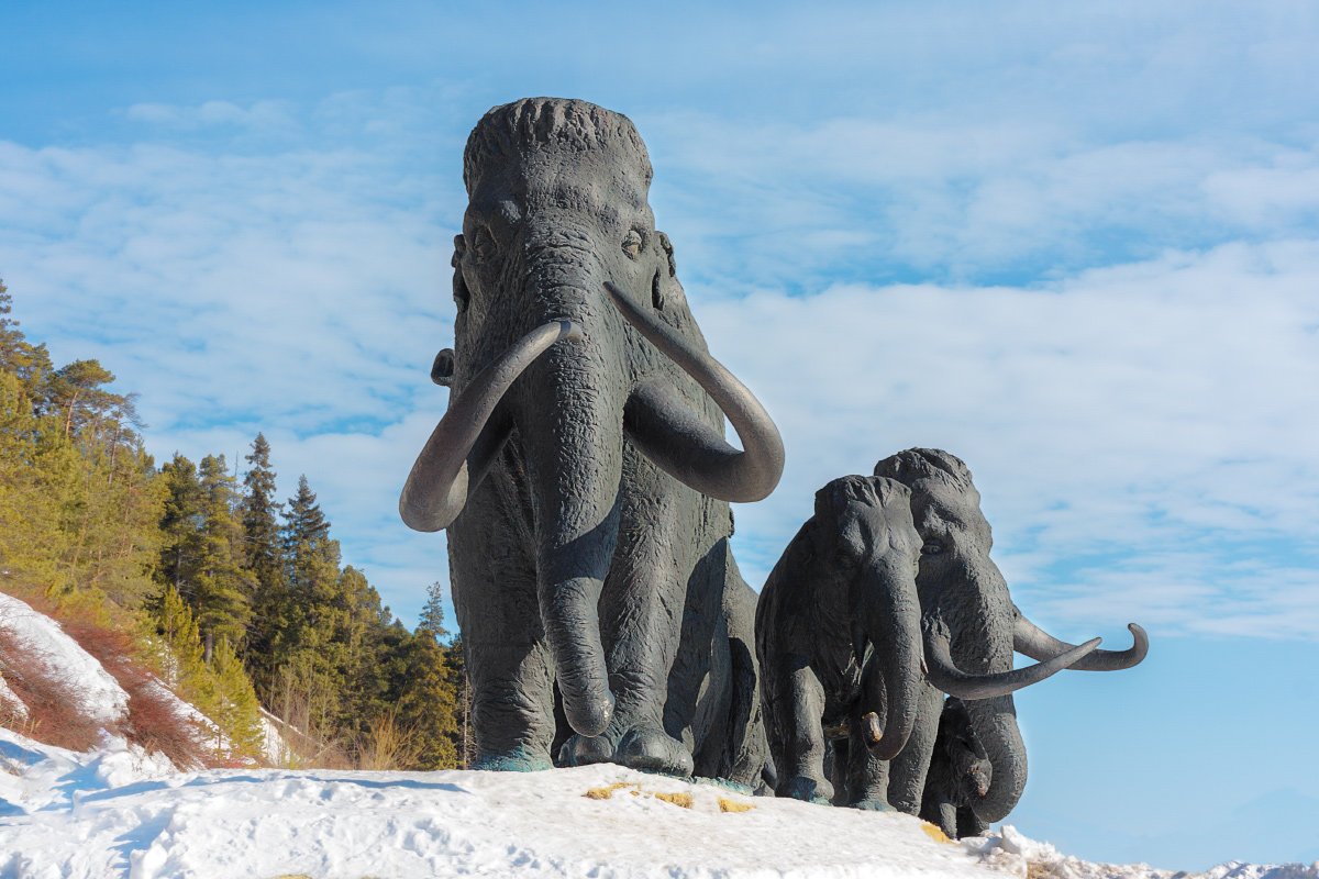 Ханты-Мансийск зимой