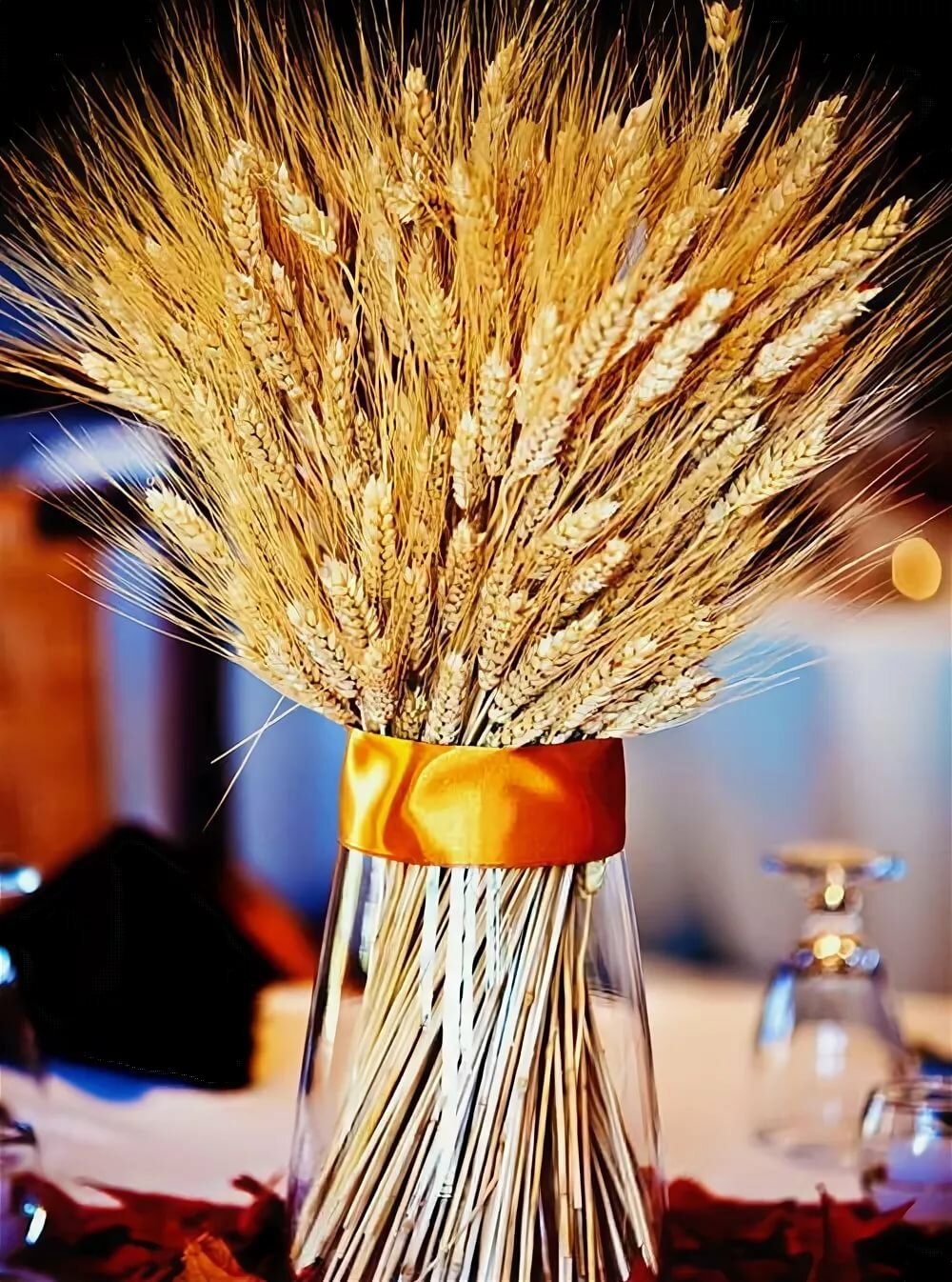 Овес монастырский