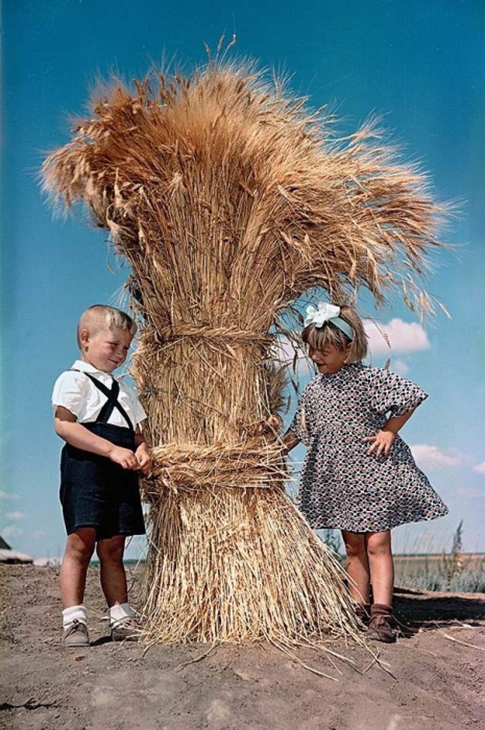 Овсяный Снопок