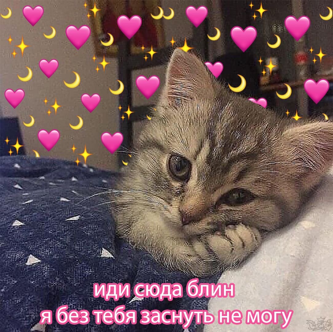 Сладких снов котик с сердечками