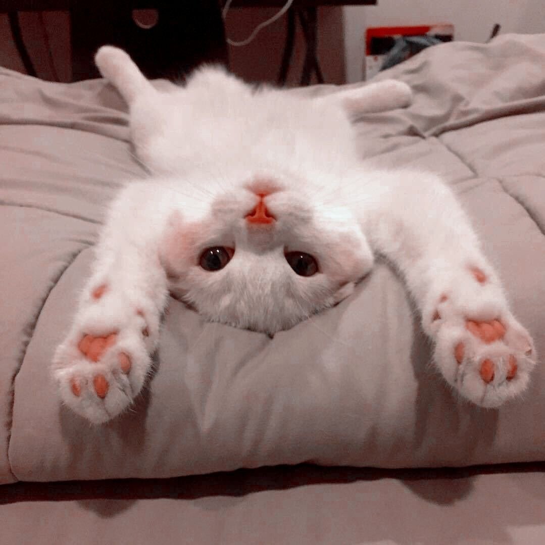 Ура выходные