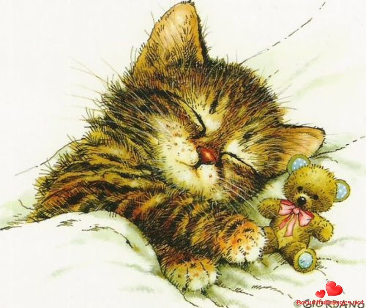 Спящий кот иллюстрация