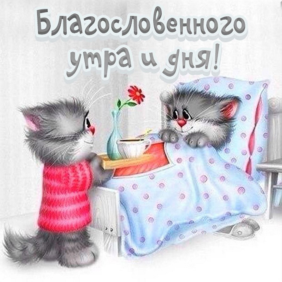 Выздоравливай картинки