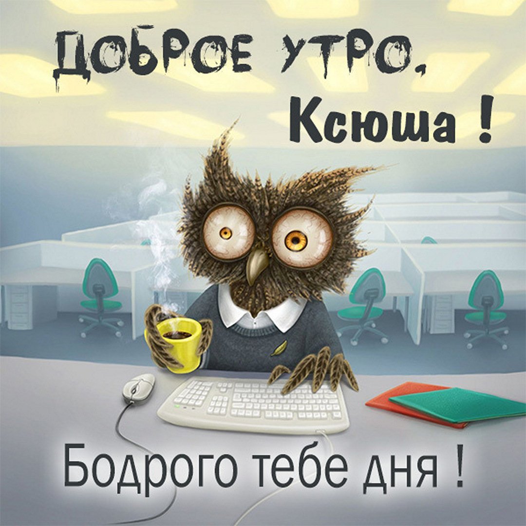 Уставшая Сова