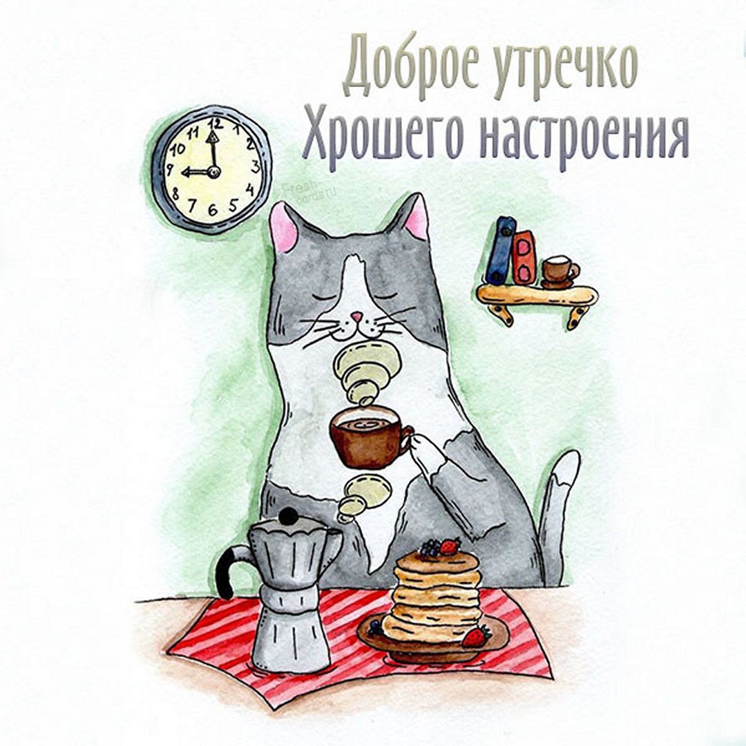 Котик пьет кофе