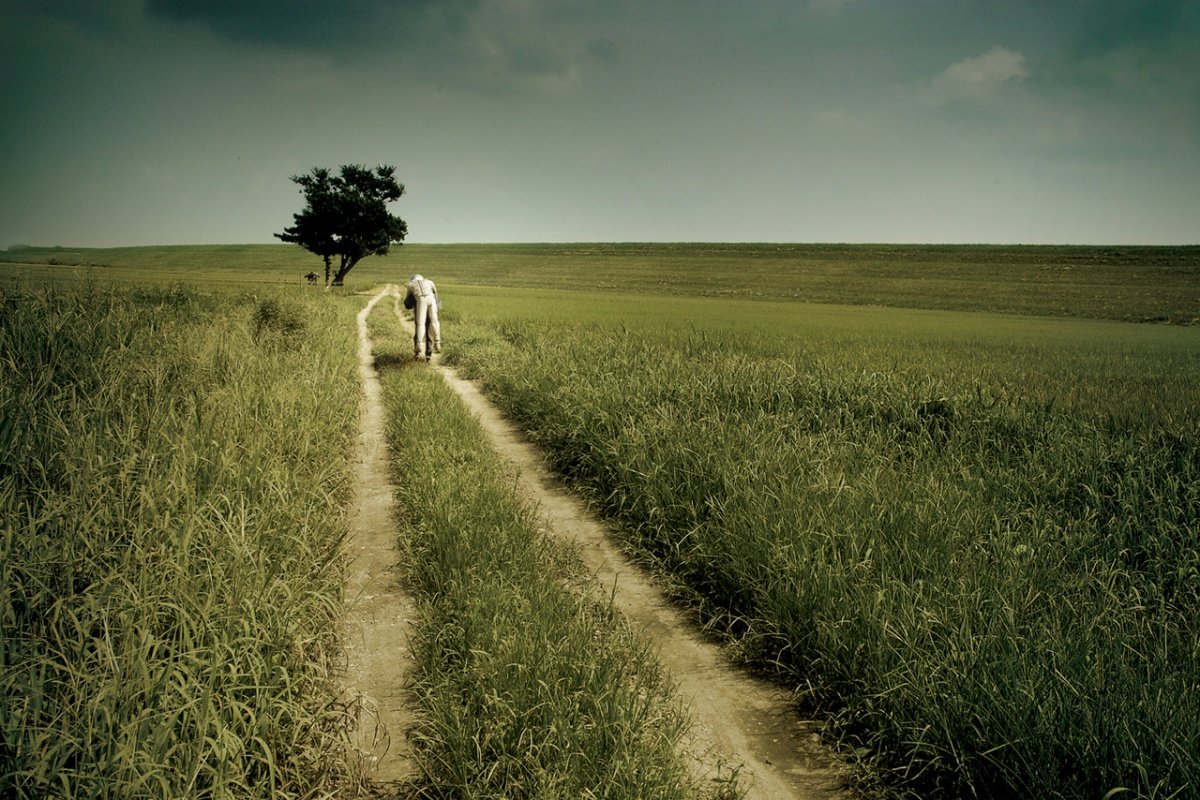 Возвращение домой