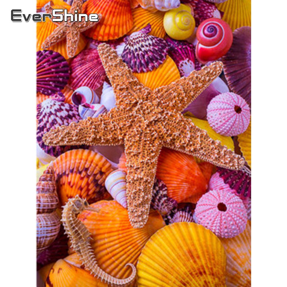 Астерия Амурская морская звезда