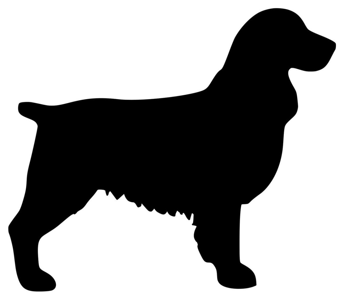 Силуэт английского кокер спаниеля