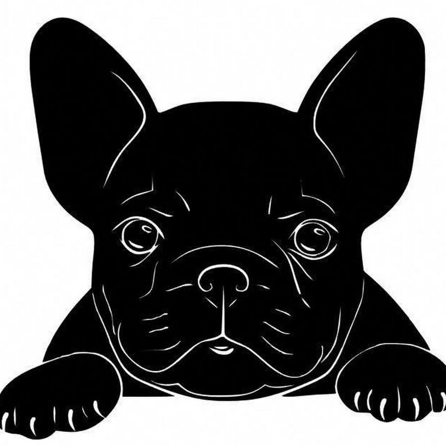 Французский бульдог