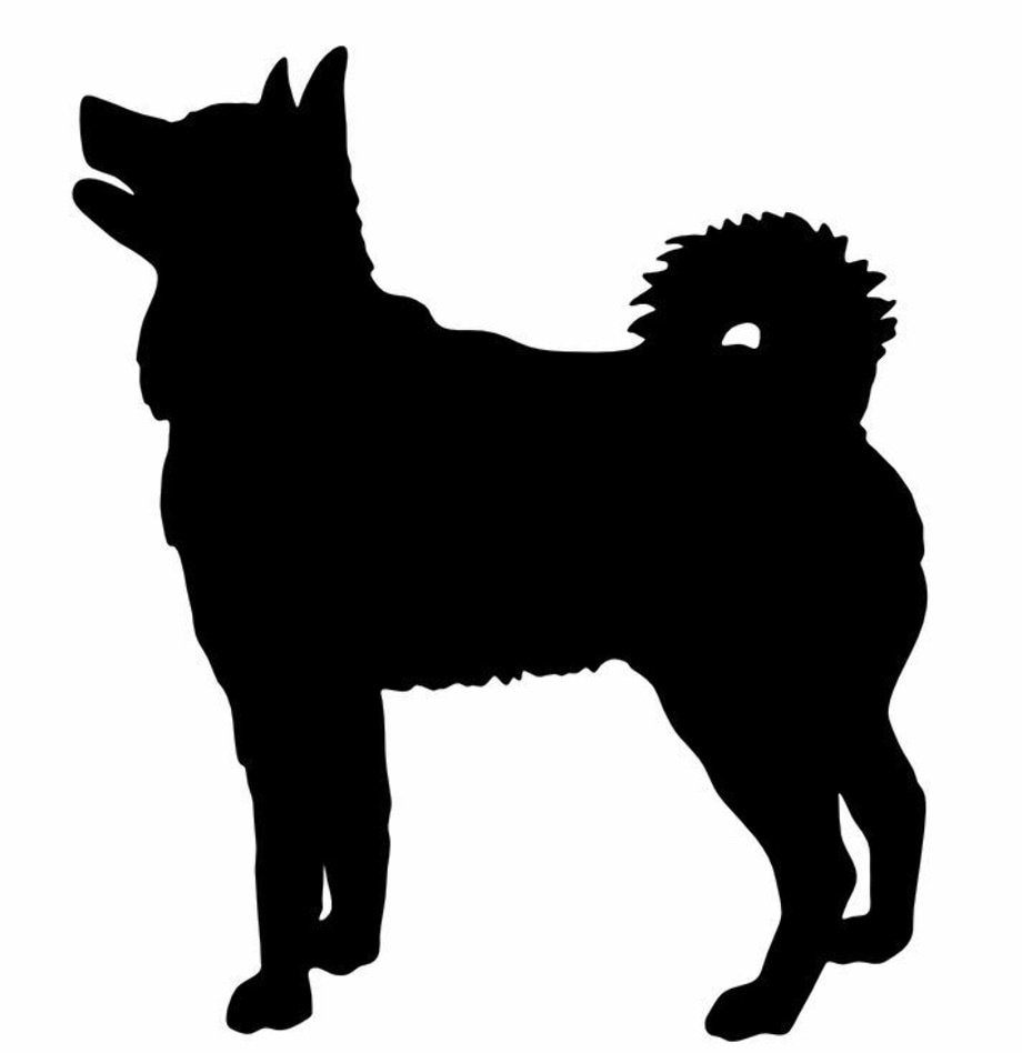 Тень собаки