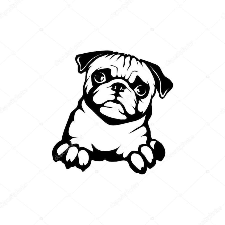 Силуэт бездомной собаки