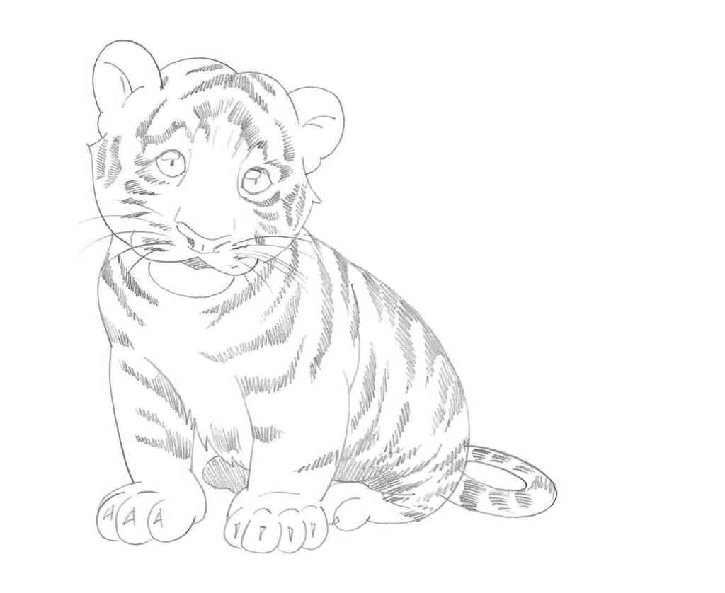 Нарисовать тигра поэтапно