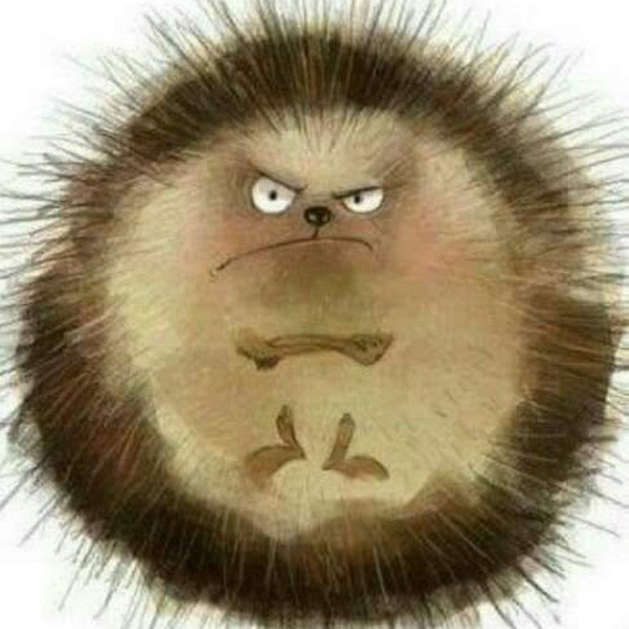 Злобный Ежик