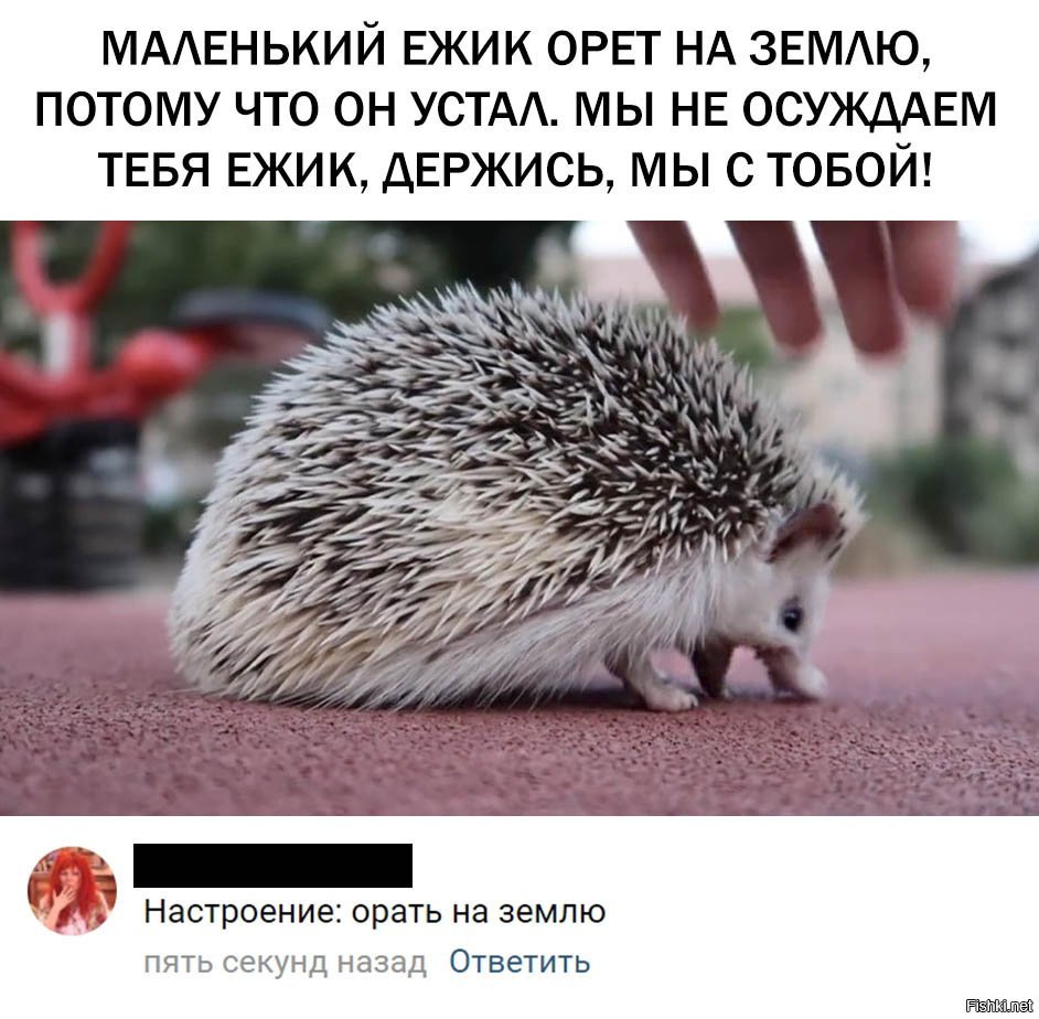 Ежик милый мультяшный