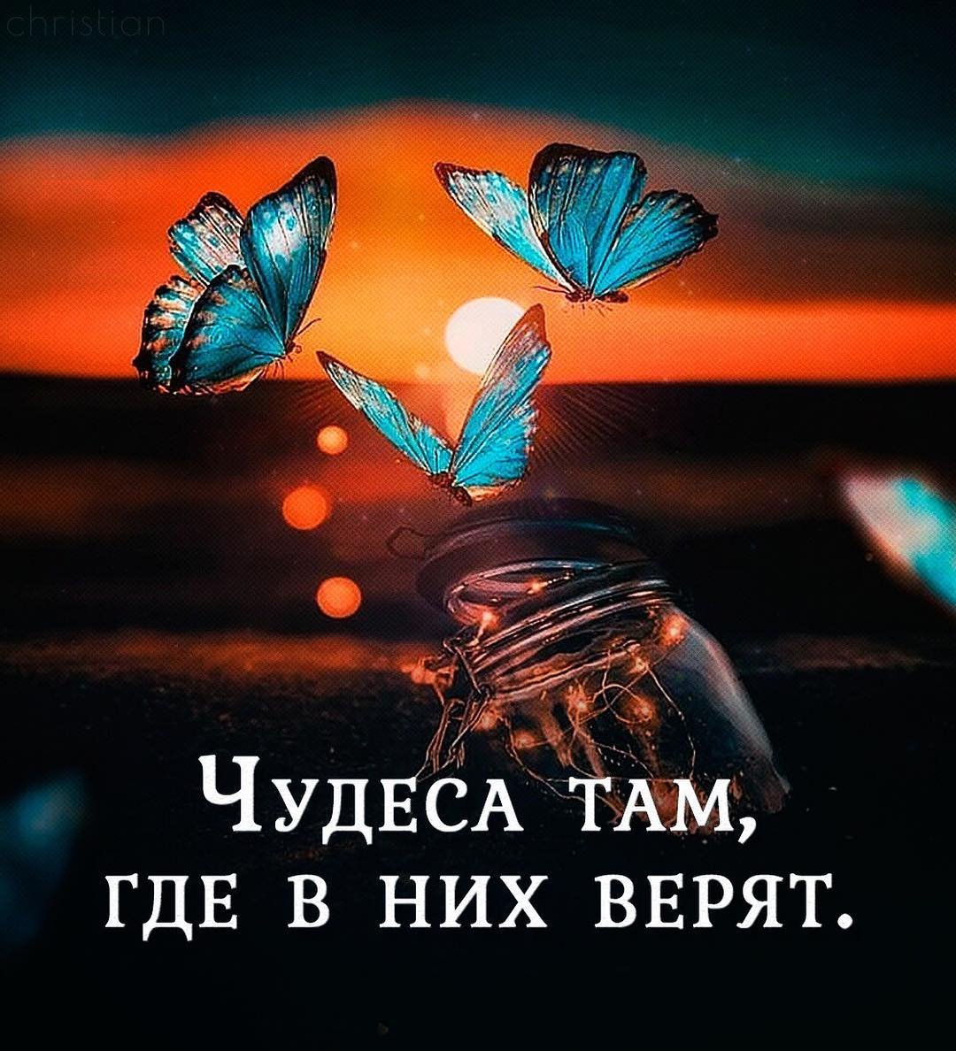 Высказывание про новогоднее чудо