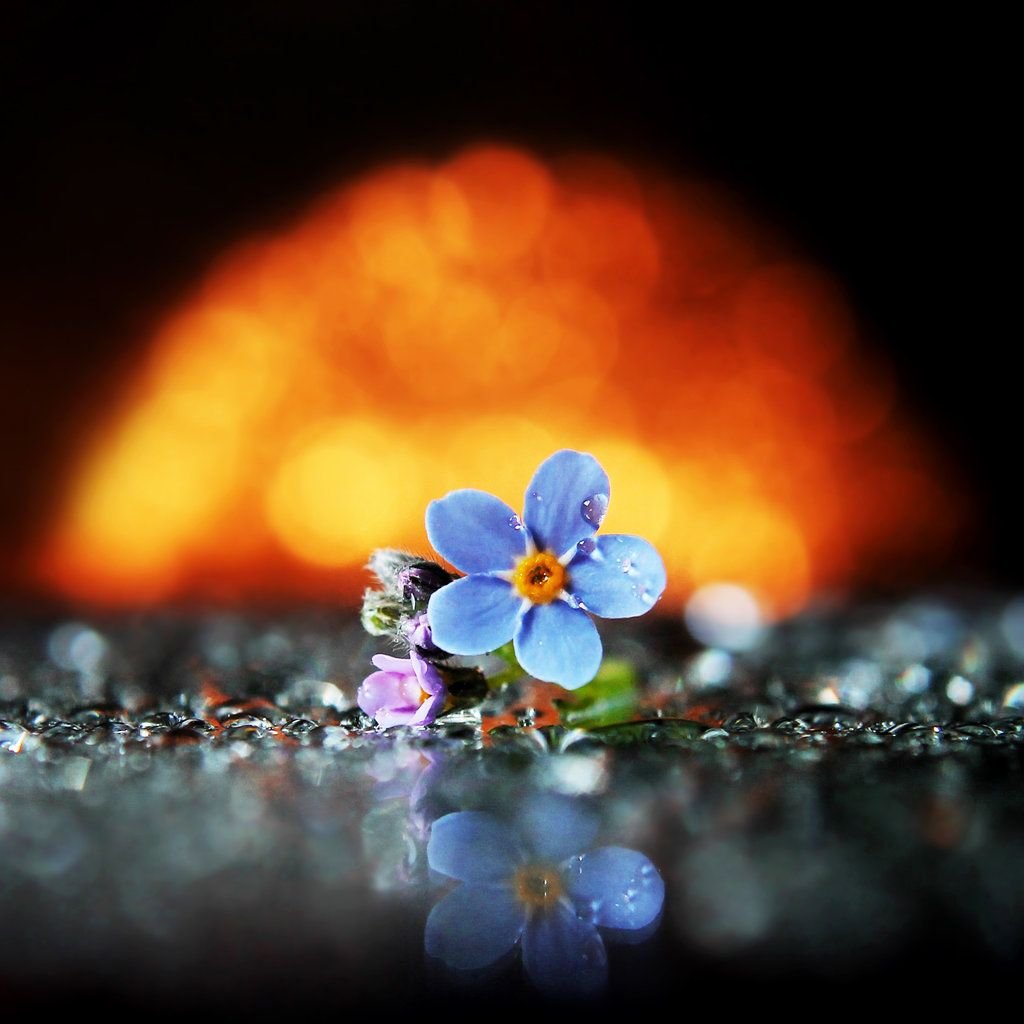 Волшебство случается