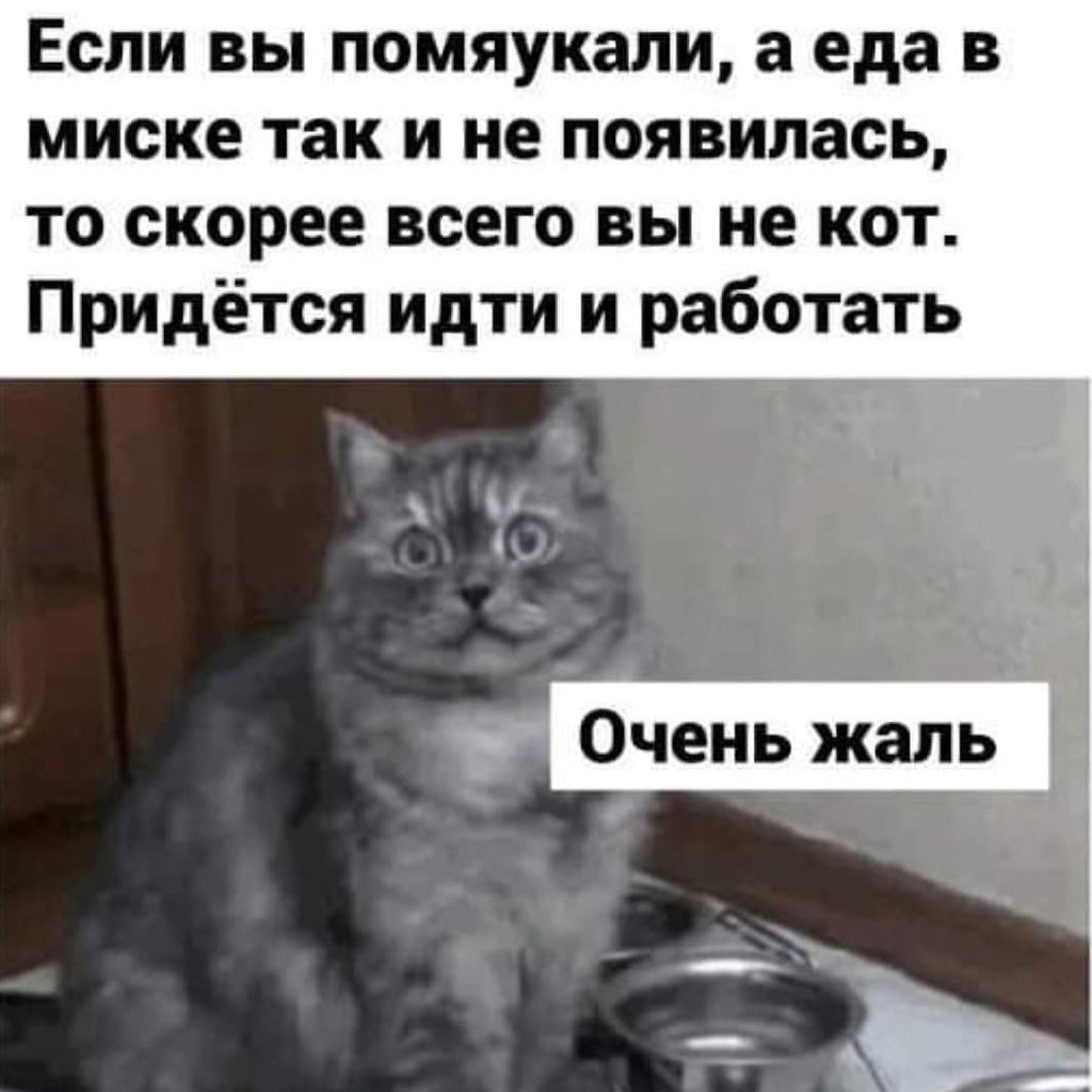 Жаль что все закончилось