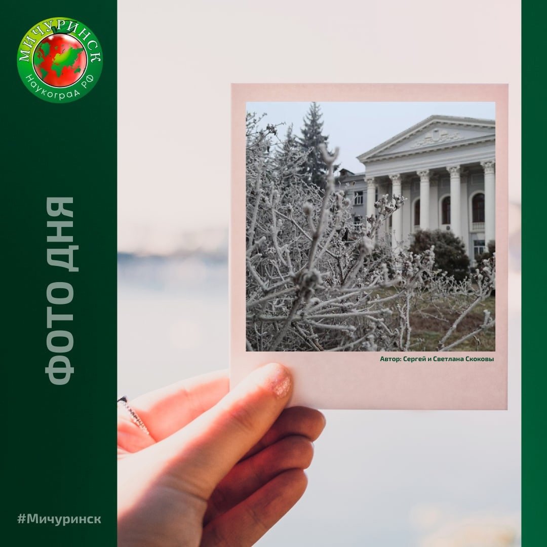 Набережная Мичуринск Донское