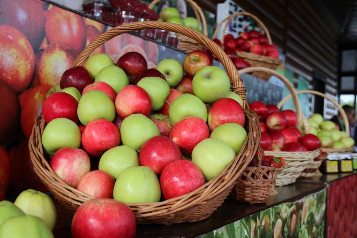 Мичуринск картинки