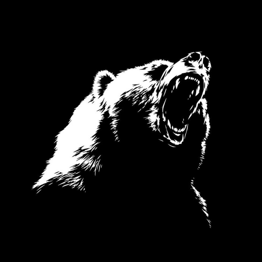 Медведь на черном фоне