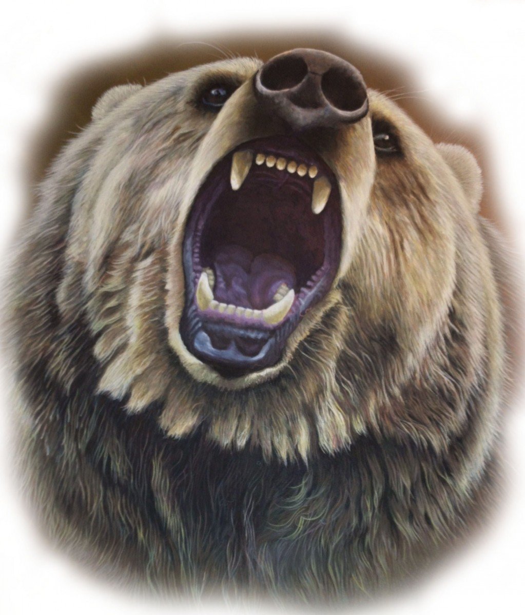 Пасть медведя