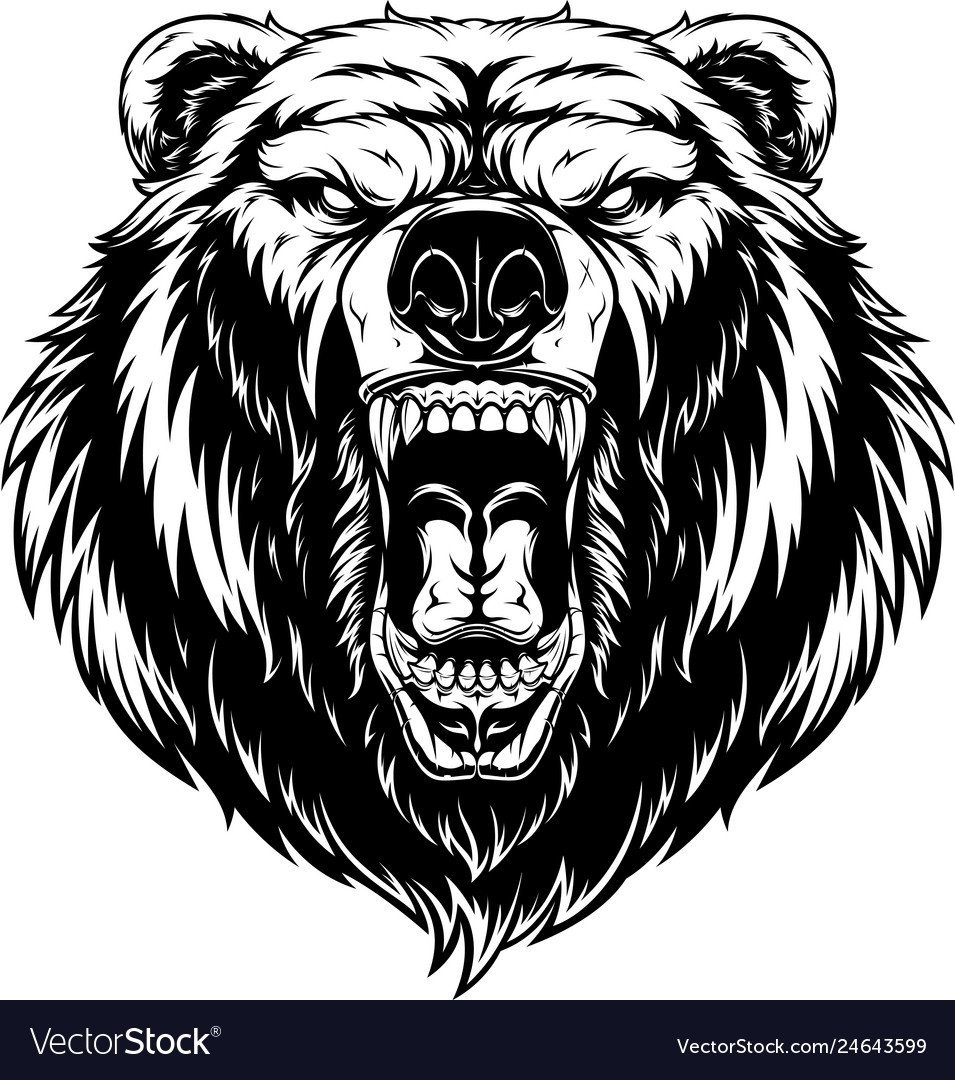 Оскал медведя тату эскиз