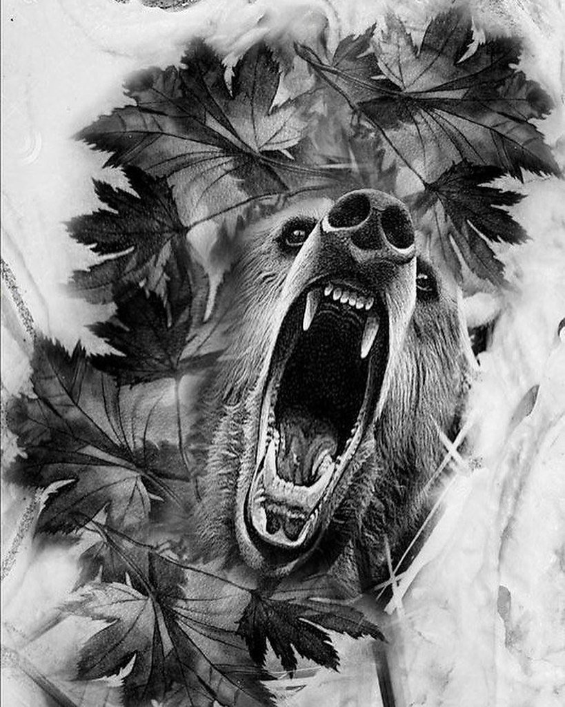 Медведь тату эскиз