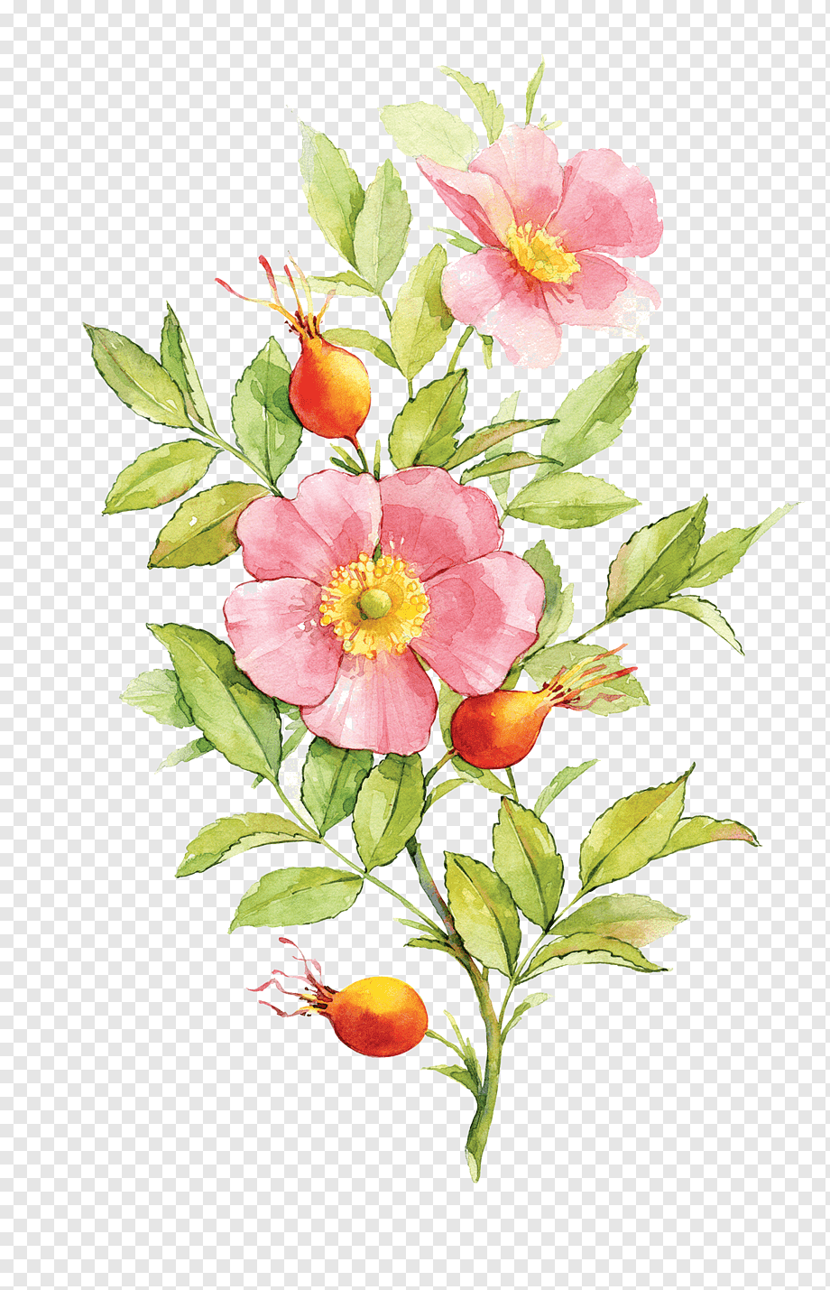 Венок из шиповника