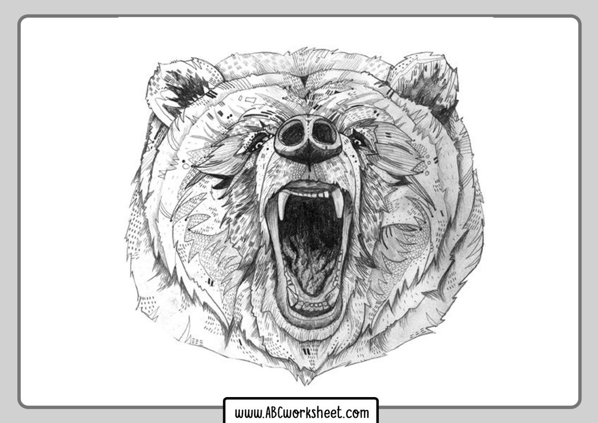 Медведь эскиз